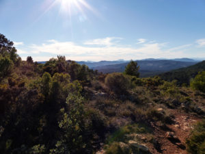 La Sierra de Mariola2