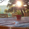Private Retreat - Image 10